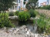 Bild 22