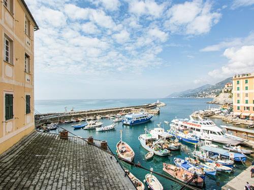 Ferienwohnung - 4 Personen -  - Via Tommaso Racca - 16032 - Camogli
