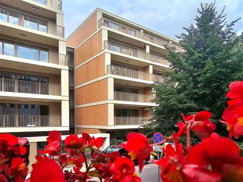 Ferieleilighet - 4 personer -  - Straße - 72-600 - Swinoujscie-Swinemünde