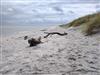 Billede 24 - Udsigt over vand