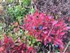 Image 50 - Outside