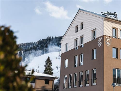 Sommerhus - 5 personer -  - Coburgstraße - 8970 - Schladming