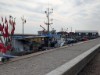 Billede 6