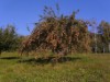 Bild 16