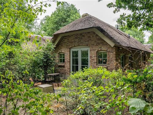 Fritidshus - 2 personer -  - 3852 PC - Ermelo