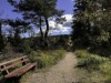 Bilde 36