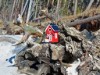 Bild 16