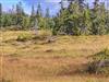 Bild 14 - Ude