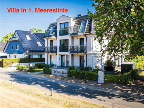 Holiday Home/Apartment - 8 persons -  - Seestraße - 18374 - Zingst / Ostseebad Zingst