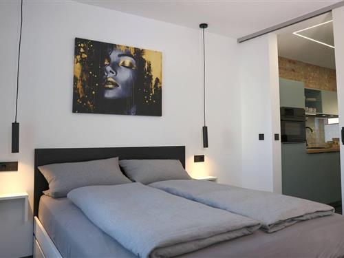 Holiday apartment - 3 persons -  - Wiesenweg - 98693 - Ilmenau