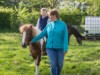 Bild 16