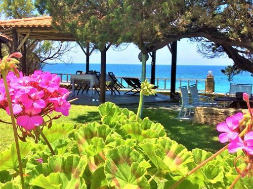 Semesterlägenhet - 2 personer -  - Leventochori - 271 00