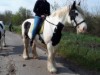 Bild 27