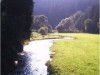 Billede 18