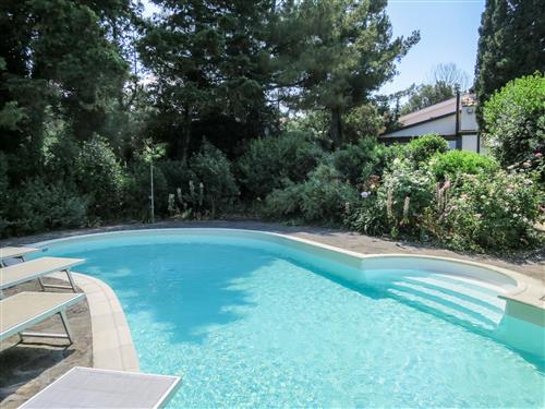 Ferienhaus - 8 Personen -  - Castiglioncello - 57128
