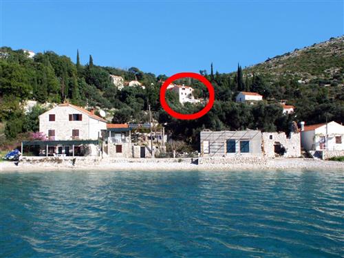 Ferielejlighed - 6 personer -  - Sladenovici - 20232 - Slano