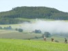 Billede 24