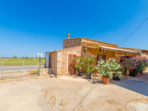 Telt - 4 personer -  - 07630 - Campos, Illes Balears