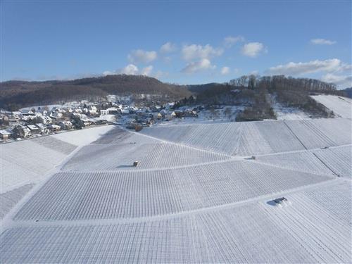 Ferielejlighed - 6 personer -  - Hintere Gasse - 74182 - Obersulm