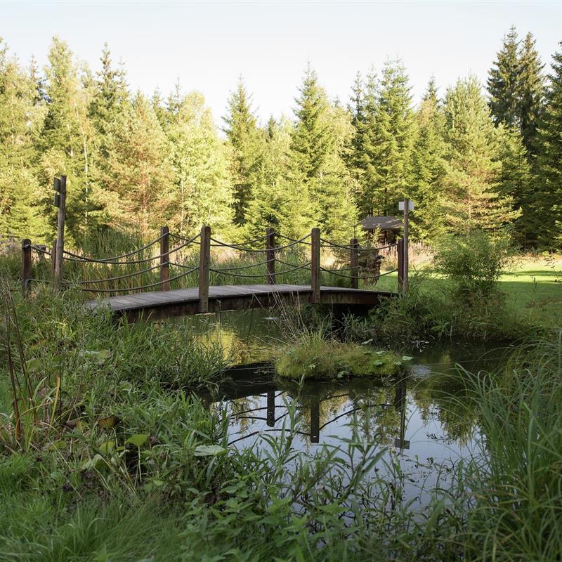 Sommerhus - 8 personer -  - 08262 - Jägersgrün