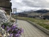 Bilde 19 - Ude