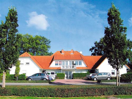 Ferienhaus - 4 Personen -  - Jordanstr. - 18374 - Zingst