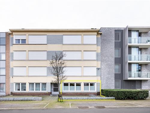 Semesterlägenhet - 4 personer -  - 8670 - Koksijde