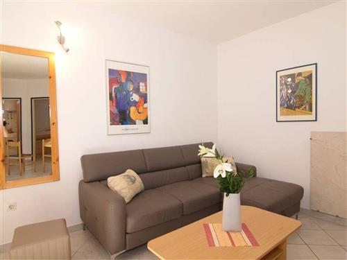 Holiday Home/Apartment - 5 persons -  - Velog Joze - 52440 - Porec