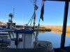 Billede 28