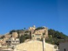 Bilde 7