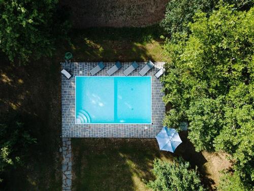 Sommerhus - 7 personer -  - Marciano Della Chiana - 52047