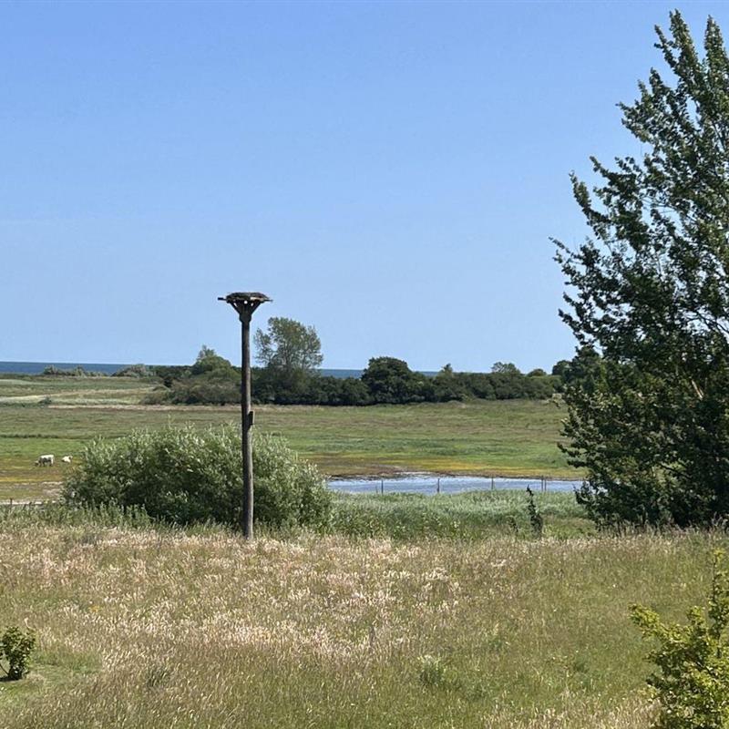 Sommerhus - 8 personer -  - Sandkoppel - 24395 - Nieby