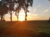 Bilde 11