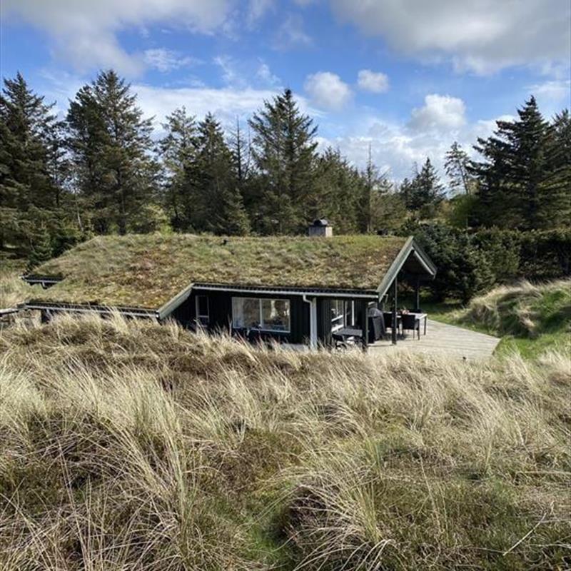 Ferienhaus - 4 Personen -  - Axel P Jensenvej - 9492 - Blokhus