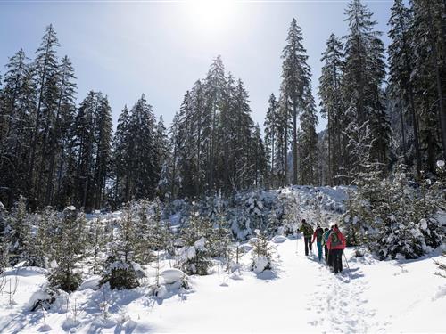 Semesterhus/Semesterlägenhet - 4 personer -  - 5733 - Bramberg Am Wildkogel