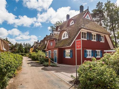 Sommerhus - 7 personer -  - In de Dickden - 18375 - Born