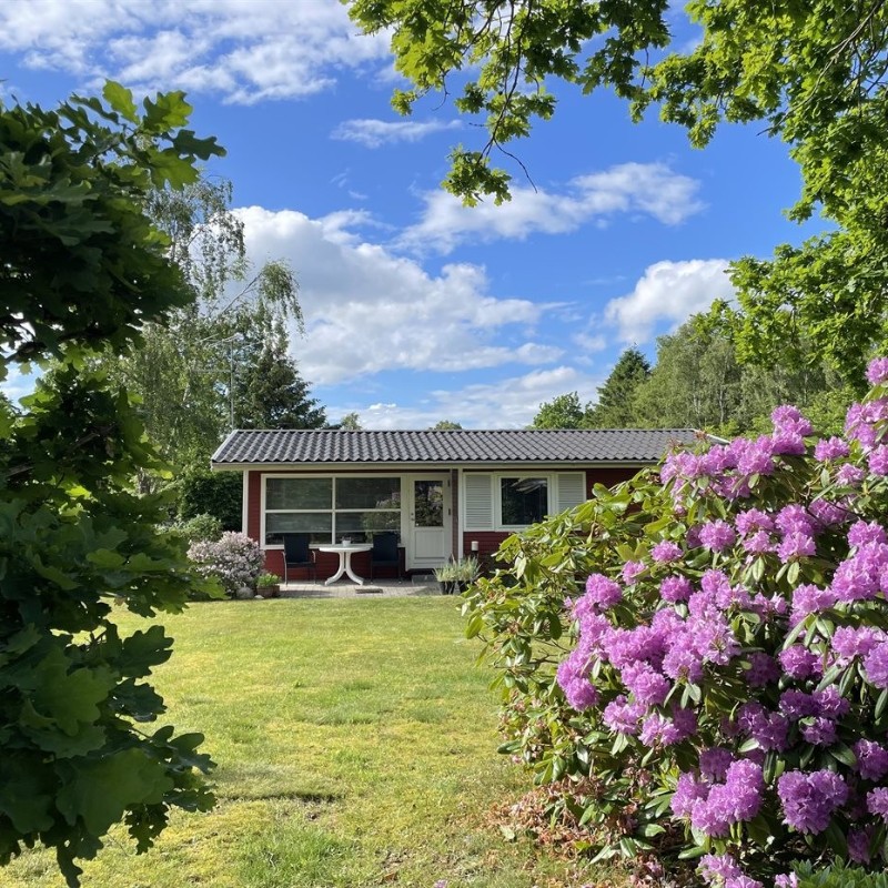 Sommerhus - 4 personer -  - Ternevej - St. Sjørup - 8950 - Ørsted
