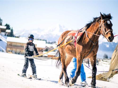 Holiday apartment - 8 persons -  - 05500 - Saint-Bonnet-En-Champsaur