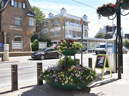 Ferienhaus - 24 Personen -  - 8660 - De Panne