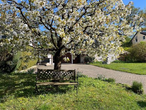 Feriehus / leilighet - 2 personer -  - Weiherstrasse - 88690 - Mühlhofen