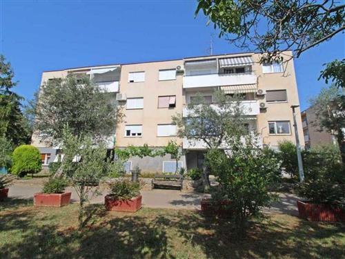 Ferielejlighed - 6 personer -  - Aleja Maslina - 52212 - Fazana