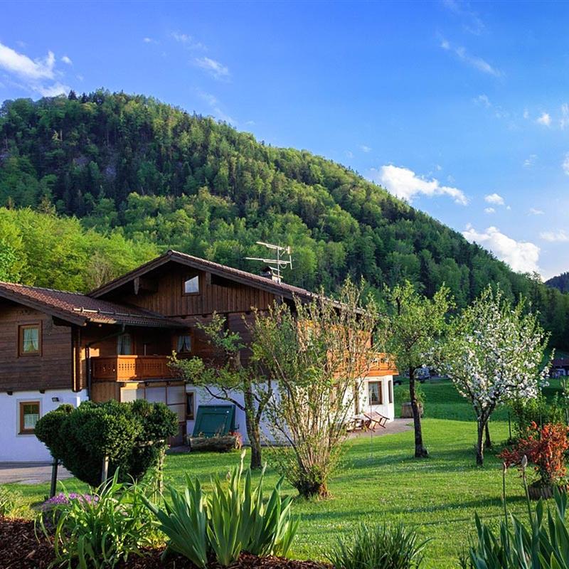 Ferielejlighed - 4 personer -  - Steinerweg - 83487 - Marktschellenberg