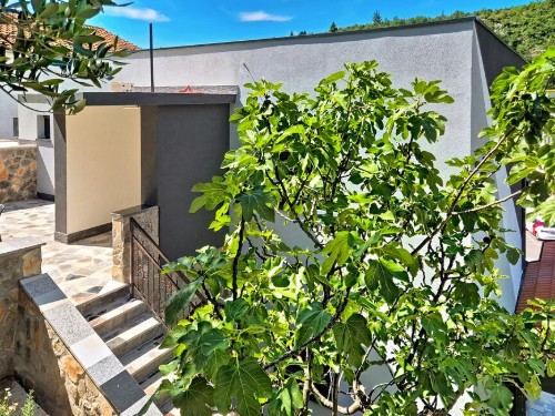 Ferienwohnung - 7 Personen -  - Petra Zoranica - Zadar-Obrovac - 23450 - Obrovac