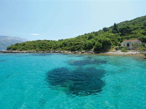 Sommerhus - 4 personer -  - Podgomilje bb - Korcula-Zrnovska Banja - 20260 - Korcula