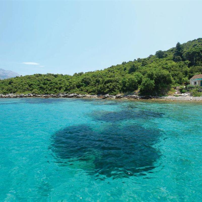 Sommerhus - 4 personer -  - Podgomilje bb - Korcula-Zrnovska Banja - 20260 - Korcula