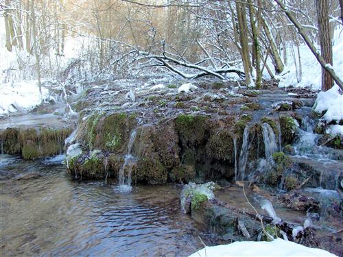 Ferielejlighed - 4 personer -  - Götzendorf - 91330 - Eggolsheim