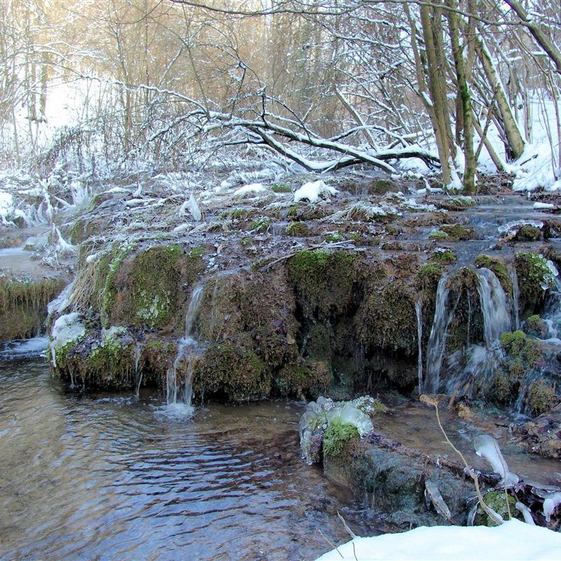 Ferielejlighed - 4 personer -  - Götzendorf - 91330 - Eggolsheim