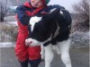 Bild 21