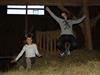 Bild 19