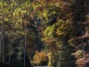Bild 55